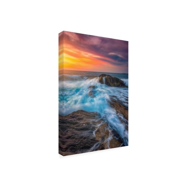 Darren White Photography 'East Coast Light Flow' Canvas Art,12x19